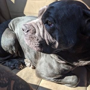 Meet your Posher, Stephen